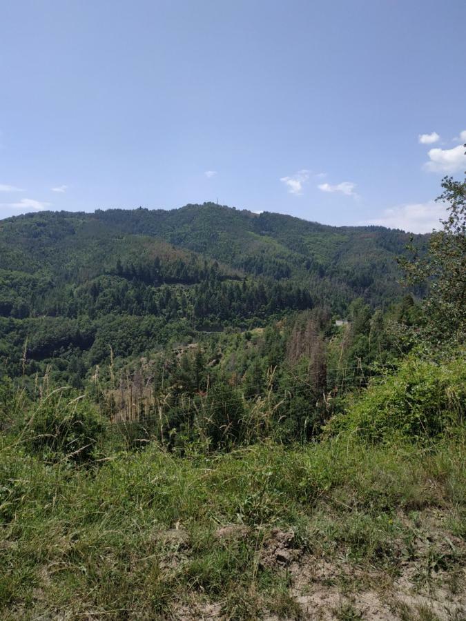 Вила Баните Екстер'єр фото
